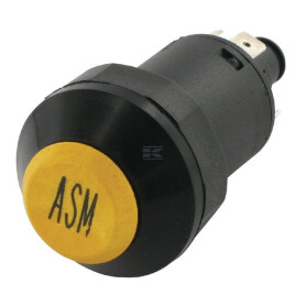 Interrupteur PNEUTRON 11175380PN