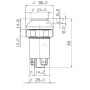 Interrupteur PNEUTRON 11175380PN
