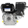 Moteur BRIGGS & STRATTON 1062320037H5