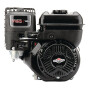 Moteur BRIGGS & STRATTON 1062320272F1