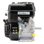 Moteur BRIGGS & STRATTON 1062320272F1