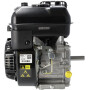Moteur BRIGGS & STRATTON 1062320272F1