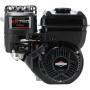 Moteur BRIGGS & STRATTON 1062320272F1