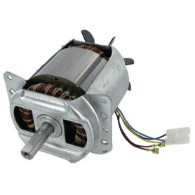 Moteur électrique WOLF-GARTEN 1142081
