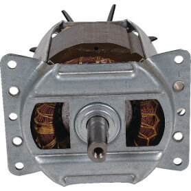 Moteur électrique WOLF-GARTEN 1141082