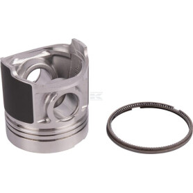 Piston PERKINS 115017491