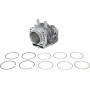 Cylindre complet HONDA 12100Z0A407