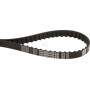 Courroie OPTIBELT 120XL031