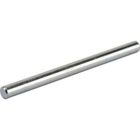Pivot CASTELGARDEN 1255100000