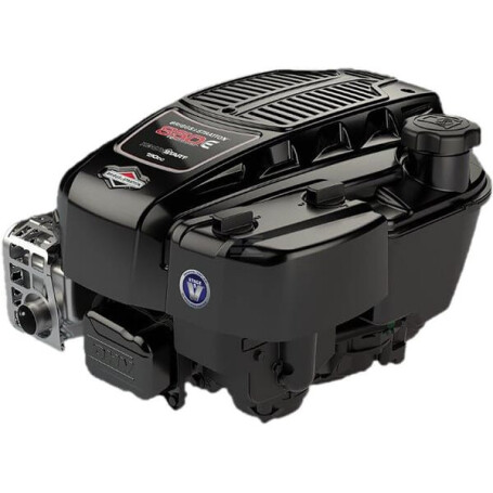 Moteur BRIGGS & STRATTON 123P020056H5