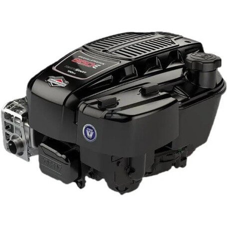 Moteur BRIGGS & STRATTON 123P020052H5