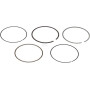 Segments HONDA 13010Z1T931