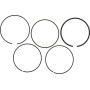 Segments LONCIN 1300701030001