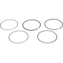 Segments KAWASAKI 130080569