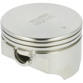 Piston LONCIN 1300303010001