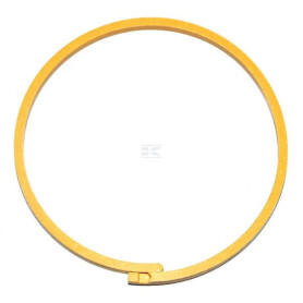 Bague CASE IH 1286026C1