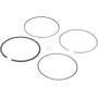 Segments LONCIN 1300701840001
