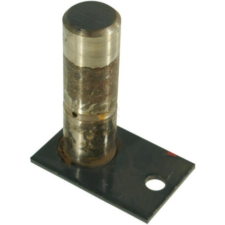 Pivot TRIOLIET-MULLOS 12643