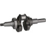 Vilebrequin LONCIN 1302901120001