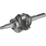 Vilebrequin LONCIN 1302900610001