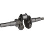 Vilebrequin LONCIN 1302900410002