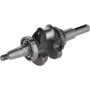 Ensemble vilebrequin LONCIN 1302900670001
