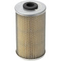 Filtre LANDINI 1420095M1