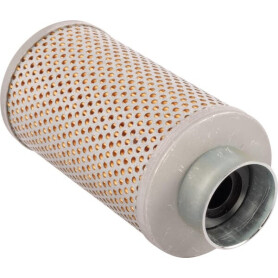 Filtre LANDINI 1425418M1