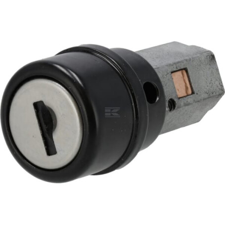 Serrure à cylindre CNH 134721010