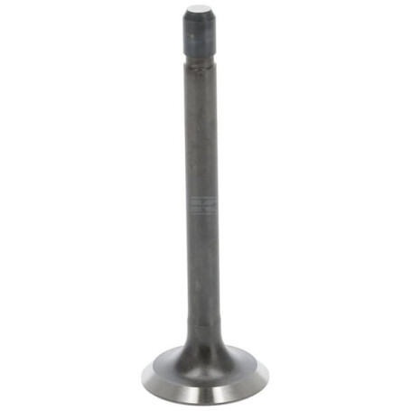 Soupape d'échappement KUBOTA 1497213120
