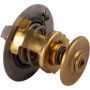 Thermostat PERKINS 145206230