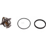 Thermostat UNBRANDED 1545173010N