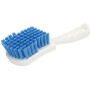 Brosse à récurer AMIR 1580AM00022