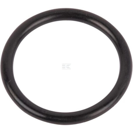 Joint torique CASE IH 167269