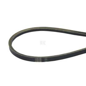 Courroie de transmission BRIGGS & STRATTON 1758100YP