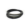 Courroie de transmission BRIGGS & STRATTON 1758100YP