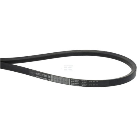 Courroie SIMPLICITY 1703372SM