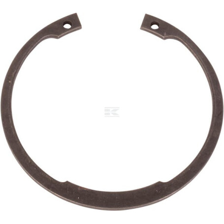 Circlip CNH 16874776