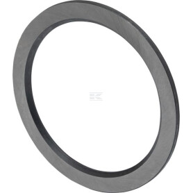 Disque LANDINI 1823572M1