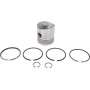 Boulon RAICO 1909866N