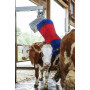 Brosse bétail HAPPYCOW 18860