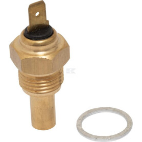 Interrupteur AGCO 1877731M92