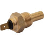 Interrupteur AGCO 1877731M92