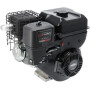 Moteur BRIGGS & STRATTON 19N1320237H5