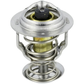 Thermostat KUBOTA 1A02173013