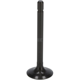 Soupape d'admission KUBOTA 1G67313112
