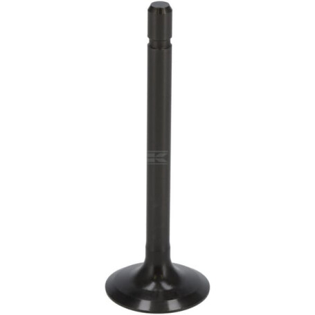 Soupape d'admission KUBOTA 1G67313112