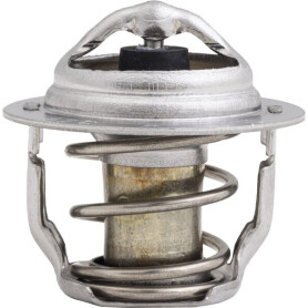 Thermostat KUBOTA 1E40173012