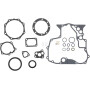 Kit KUBOTA 1G01299364