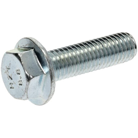 Boulon LELY 200861N